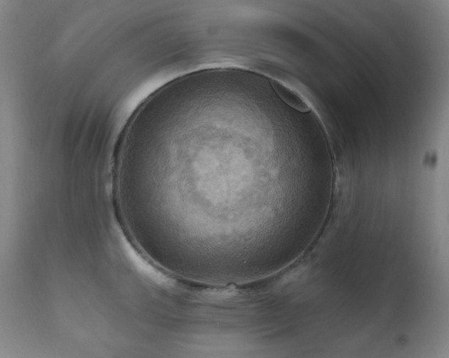 X0000112031143200908031430