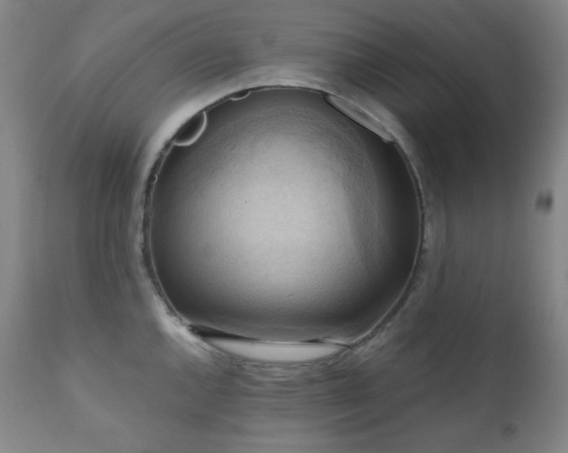 X0000112031144200908031430