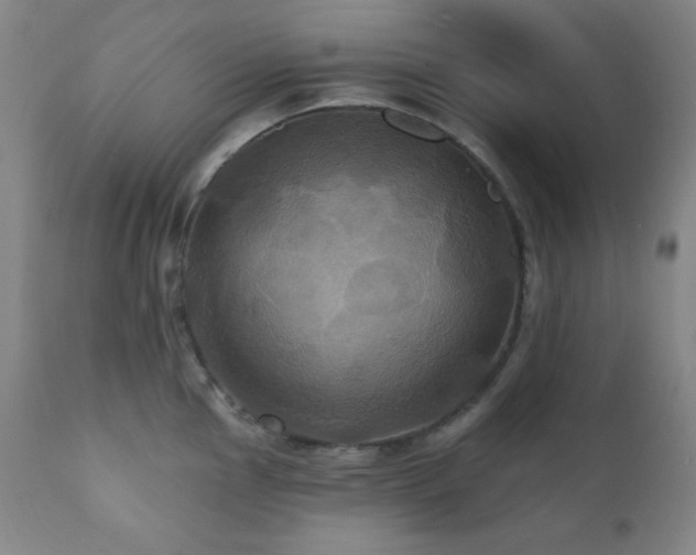 X0000112031145200908031430