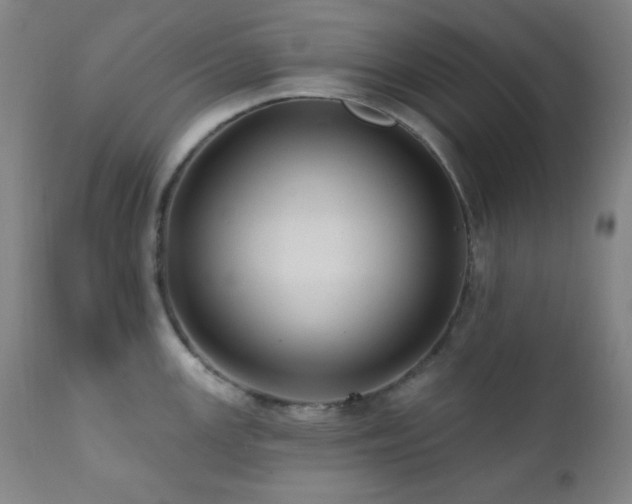 X0000112031147200908031430