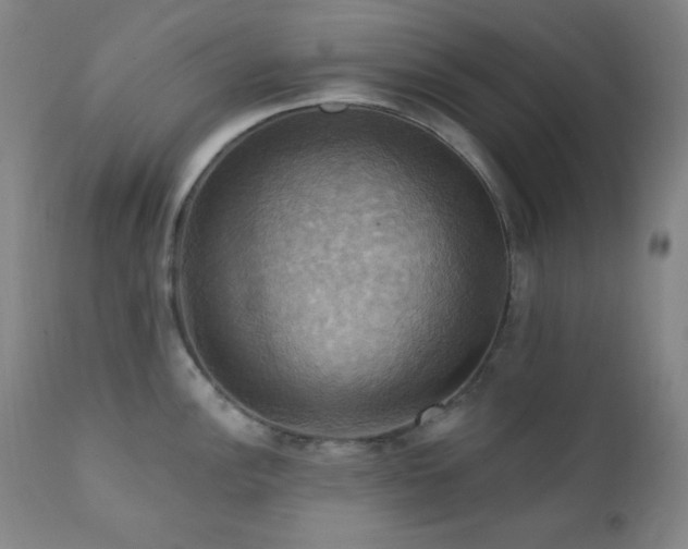 X0000112031148200908031430