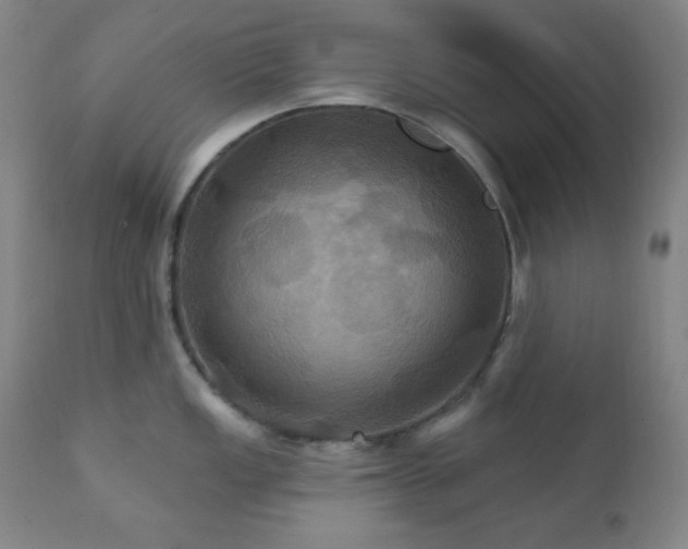 X0000112031149200908031430