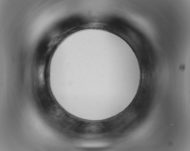 X0000112031150200908031430