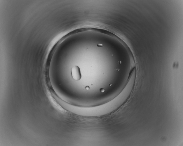 X0000112031152200908031430