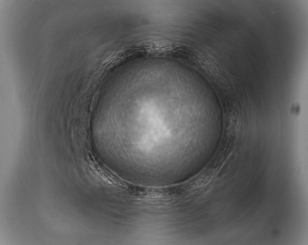 X0000112031153200908031429