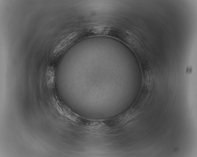 X0000112031154200908031429