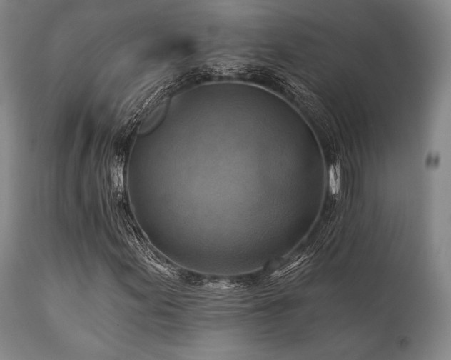 X0000112031155200908031429
