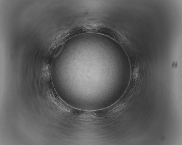 X0000112031156200908031429