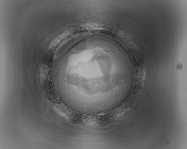 X0000112031157200908031429