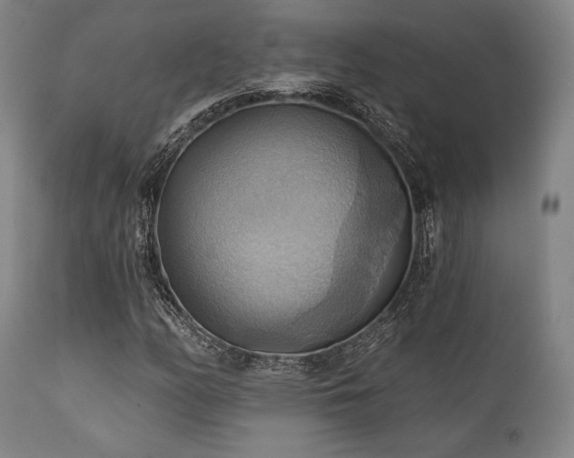 X0000112031158200908031429