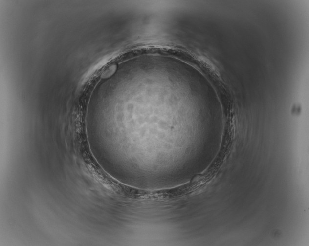 X0000112031159200908031429