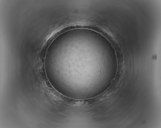 X0000112031160200908031429