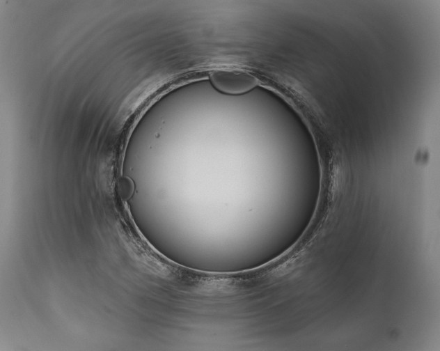 X0000112031162200908031429