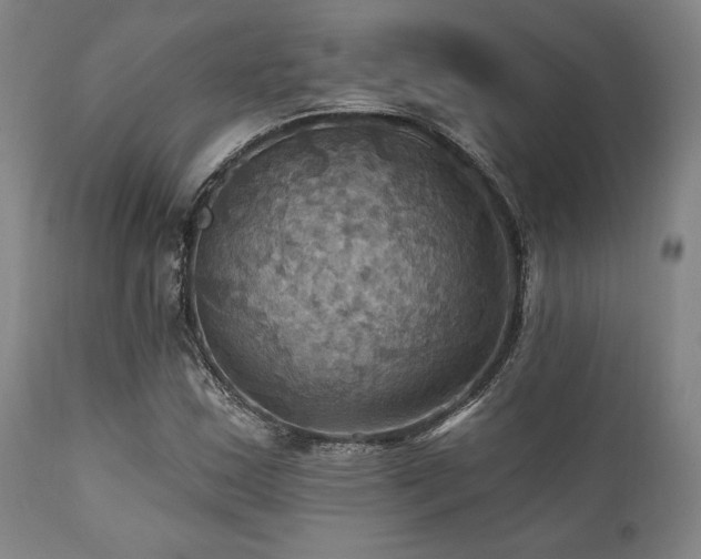 X0000112031163200908031429
