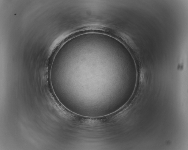 X0000112031164200908031429