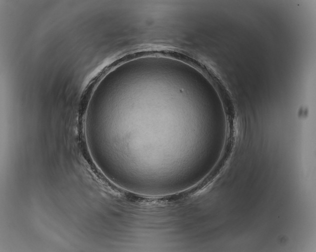 X0000112031165200908031429