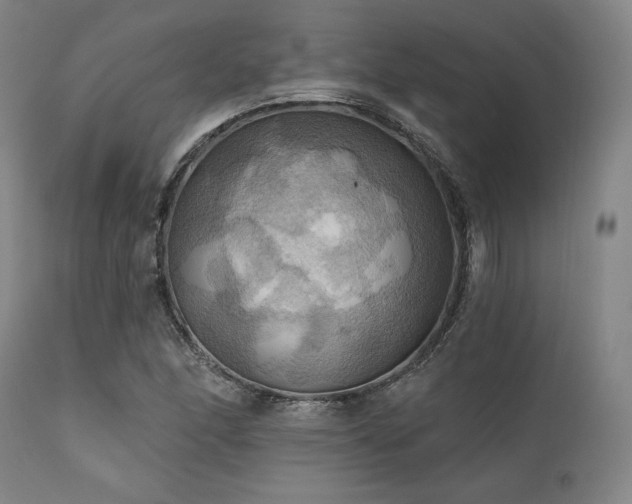 X0000112031166200908031429