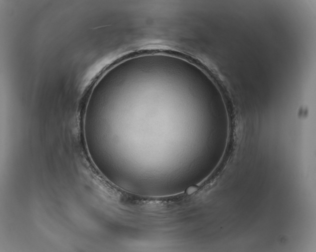 X0000112031167200908031429