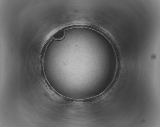 X0000112031168200908031429