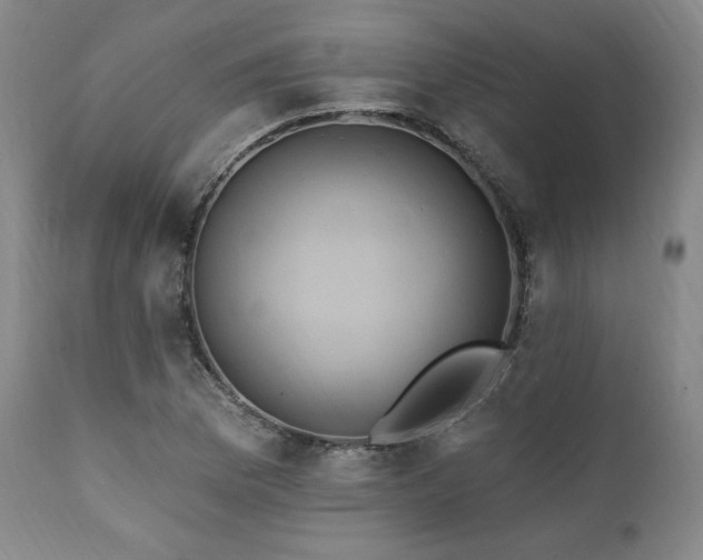 X0000112031169200908031429