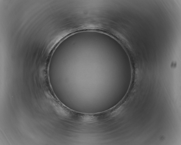 X0000112031170200908031429