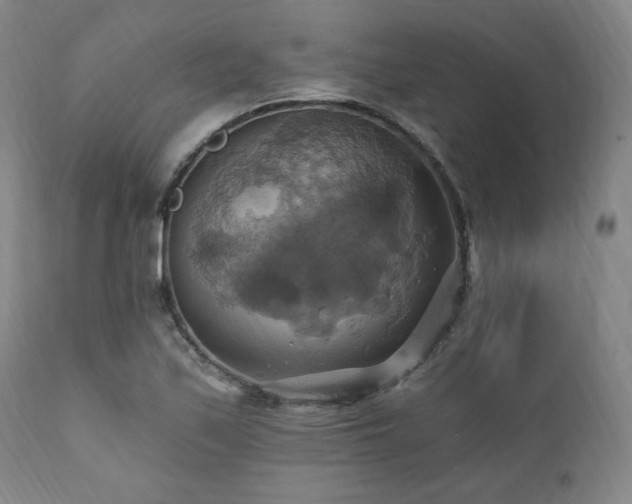 X0000112031171200908031429