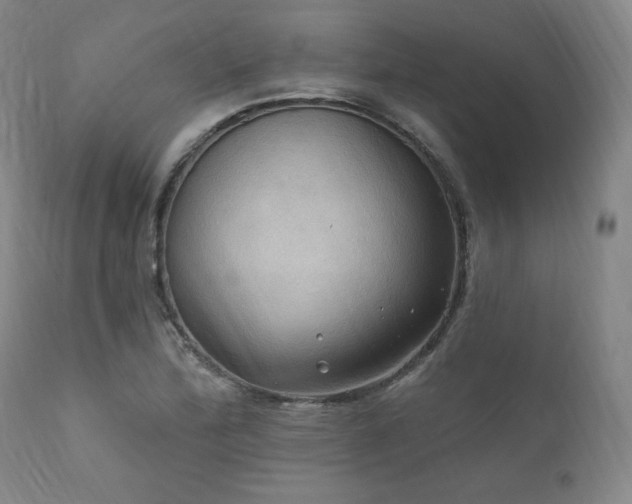X0000112031172200908031429