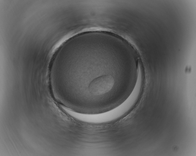 X0000112031173200908031429