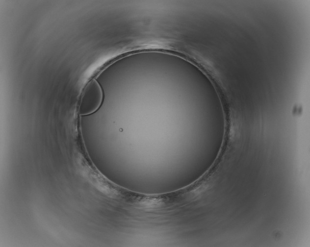 X0000112031174200908031429