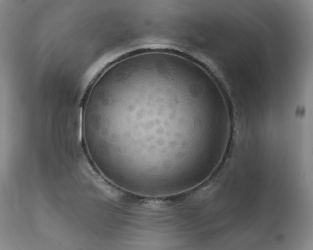 X0000112031175200908031429