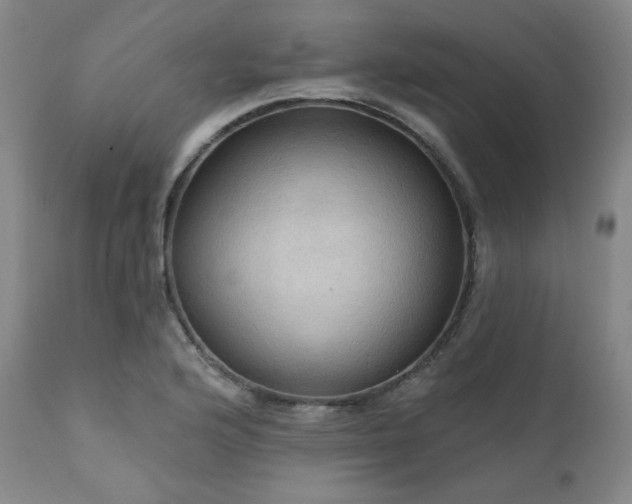 X0000112031176200908031429