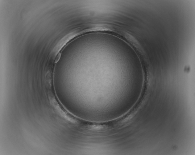 X0000112031177200908031429