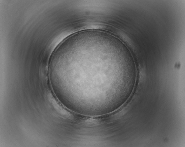 X0000112031178200908031429