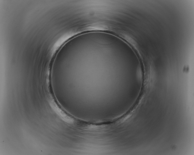 X0000112031179200908031429