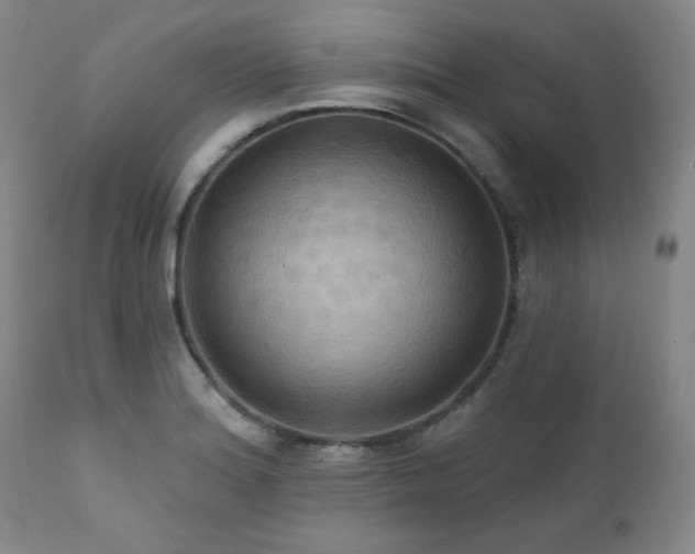 X0000112031180200908031429