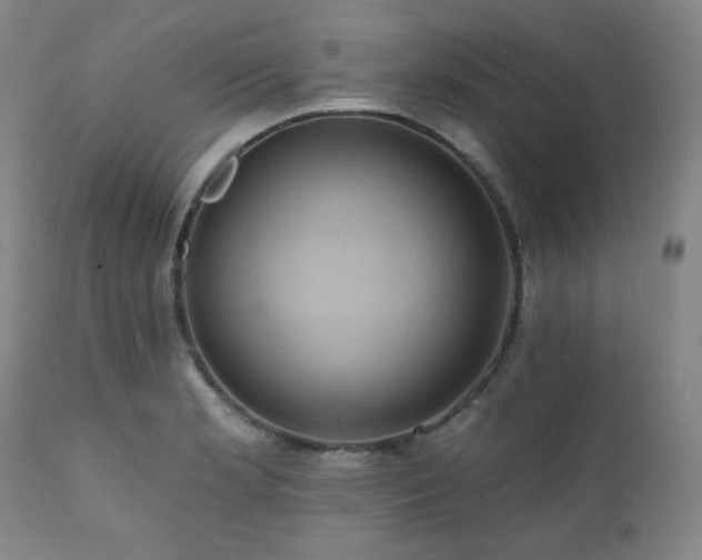 X0000112031181200908031429