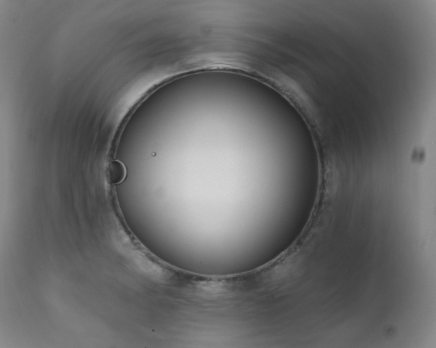 X0000112031182200908031429