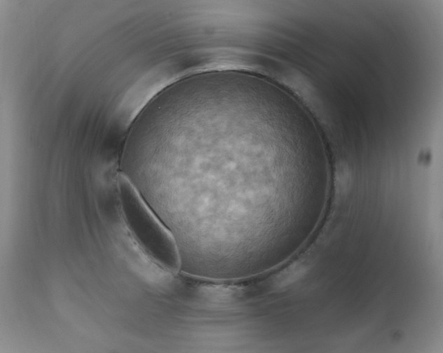 X0000112031185200908031428