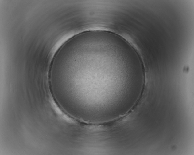 X0000112031189200908031428