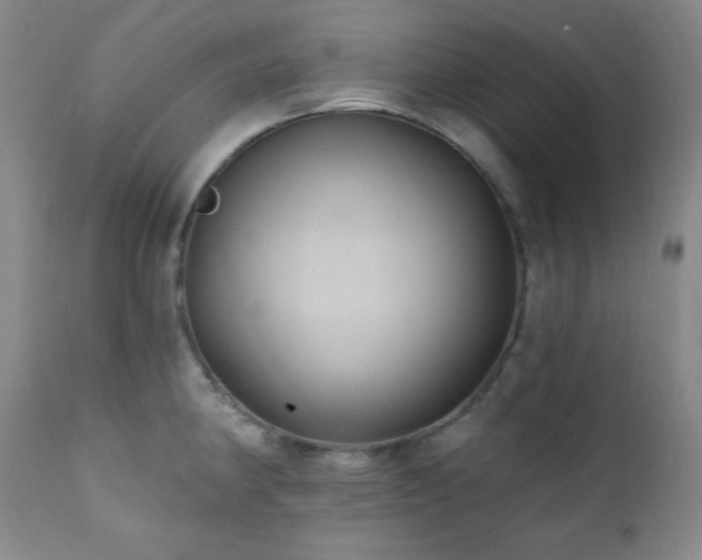 X0000112031190200908031428