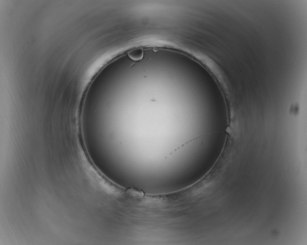 X0000112031191200908031428