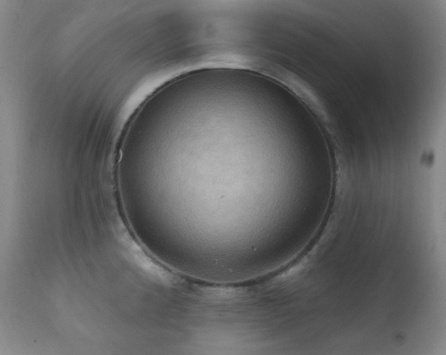 X0000112031192200908031428