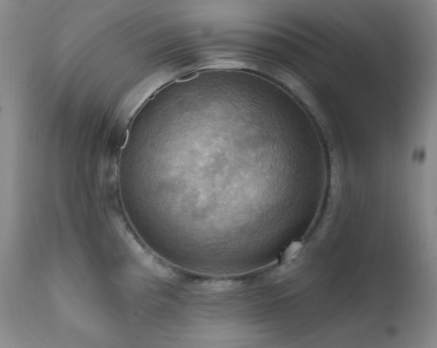 X0000112031193200908031428