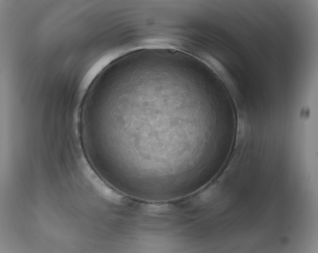 X0000112031196200908031428