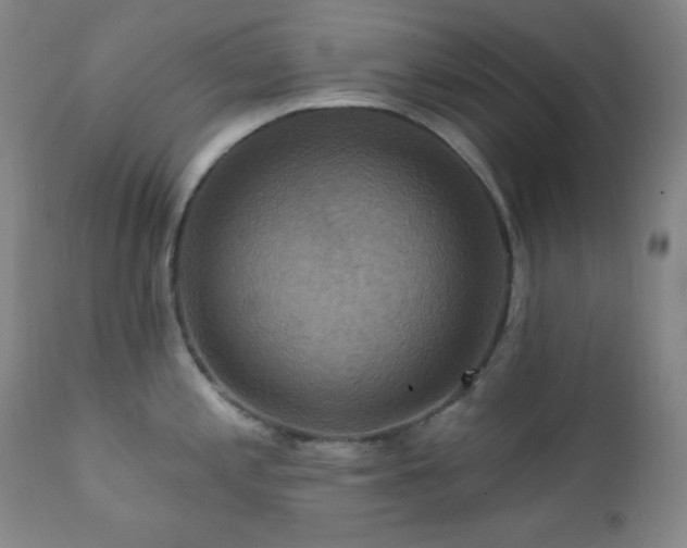X0000112031197200908031428
