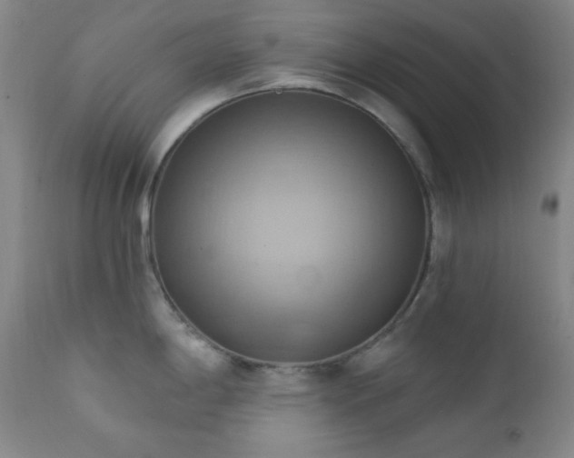 X0000112031198200908031428