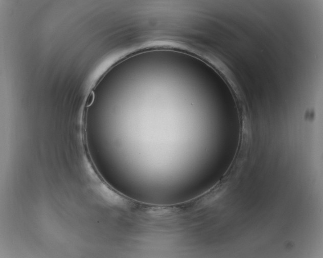 X0000112031199200908031428