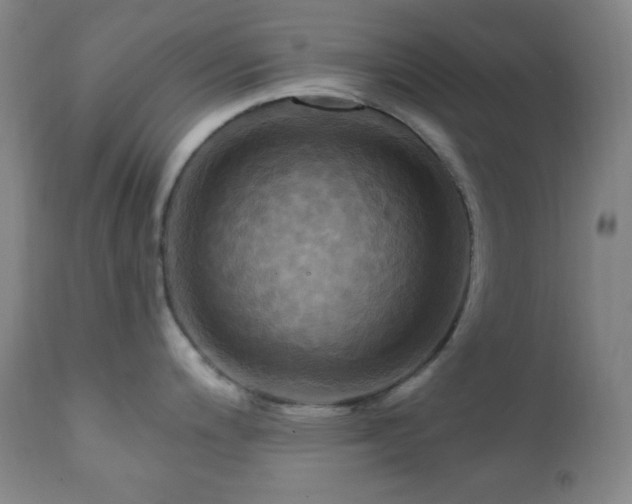 X0000112031200200908031428
