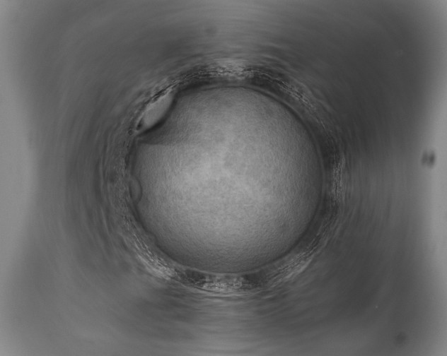 X0000112031201200908031428