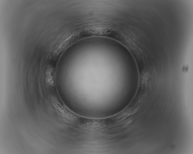 X0000112031202200908031428